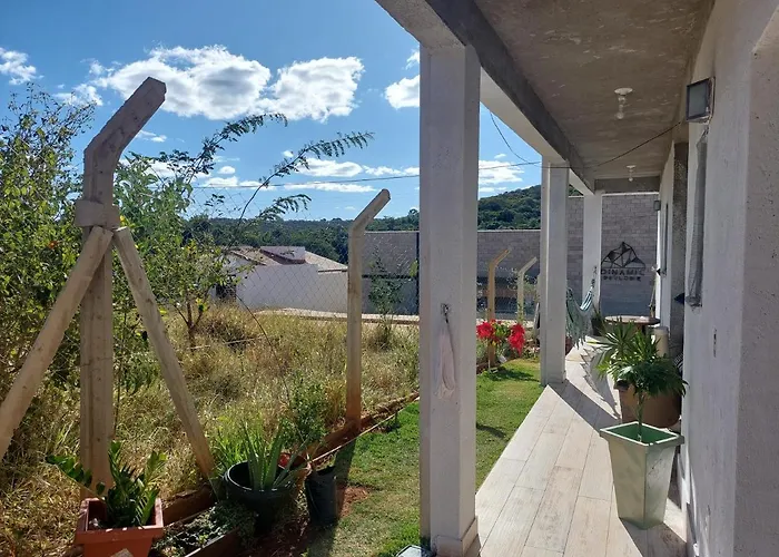 Águia Serra do cipó-Fiote